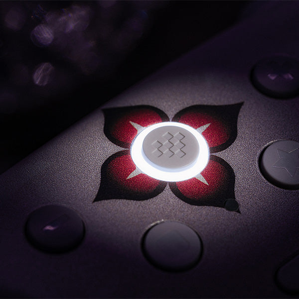 8BitDo Ultimate 2 Wireless Controller (Honkai: Star Rail - Evernight) - Controller with a Familiar and Practical Layout
