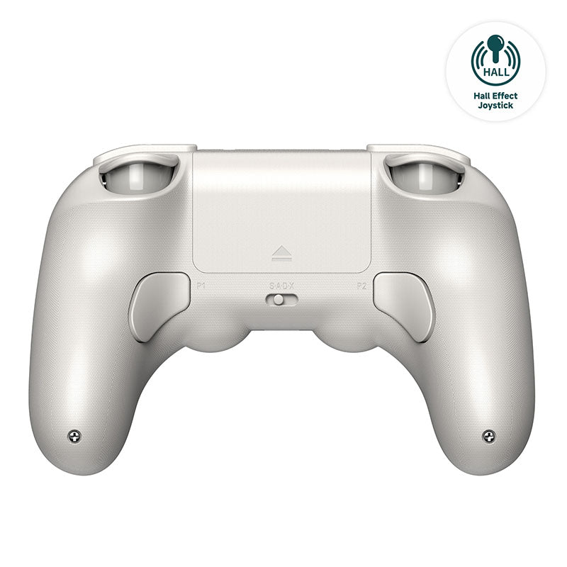 8BitDo Pro 2 (Hall Effect Joystick) - Gaming Setup Accessory Collection
