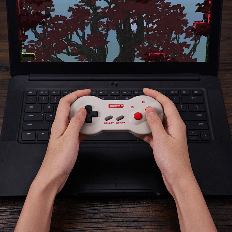 8BitDo Mod Kit for Original Dogbone Controller - Mod Kit Edition for Supported Classic Controllers